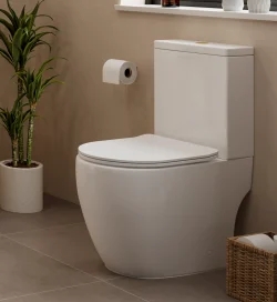 Close coupled toilet