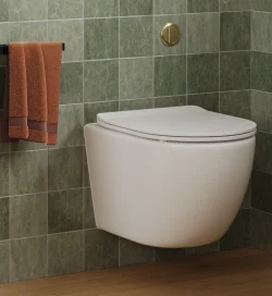 Wall hung toiler